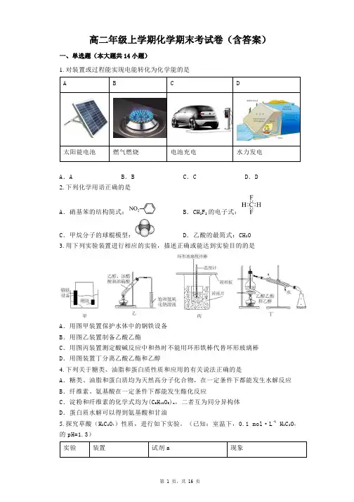 高二年级上学期化学期末考试卷(含答案)