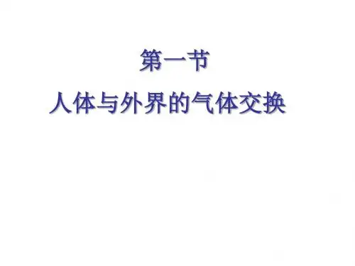 七年级生物下册 10.3 人体和外界环境的气体交换课件2 