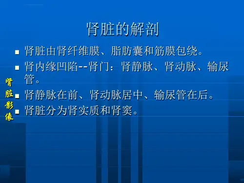 肾脏疾病的影像诊断ppt课件