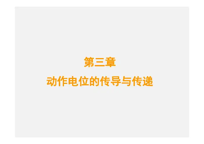 神经细胞动作电位