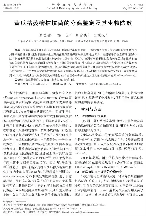 黄瓜枯萎病拮抗菌的分离鉴定及其生物防效