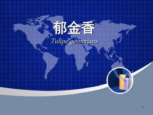 郁金香品种分类ppt课件