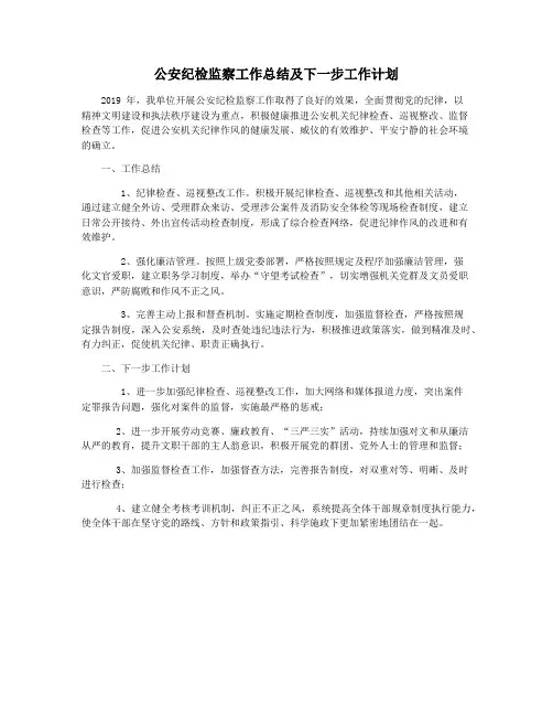 公安纪检监察工作总结及下一步工作计划
