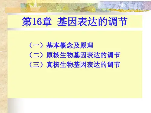 核酸的生物学功能