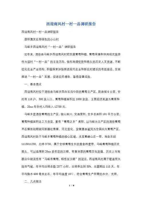 西迎南风村一村一品调研报告