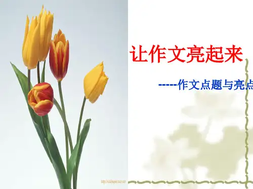 初中作文的点题与亮点