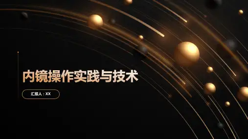 内镜操作实践与技术