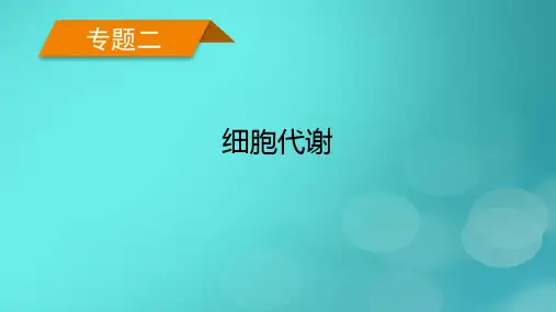 老高考适用2023版高考生物二轮总复习专题2细胞代谢第1讲物质的跨膜运输课件