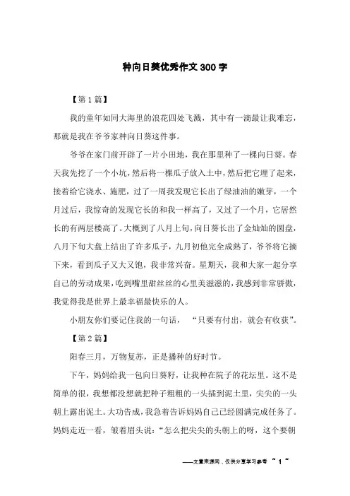 种向日葵优秀作文300字