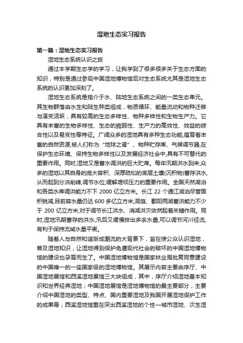 湿地生态实习报告