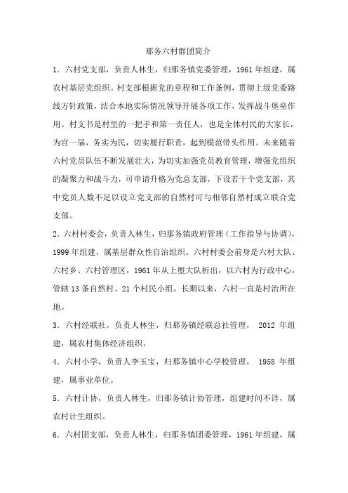 那务六村群团简介