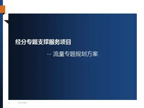 流量专题规划方案