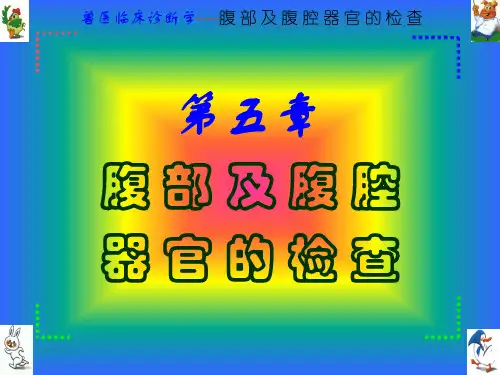 动物医学-临床诊断学《腹 部 及 腹 腔》课件