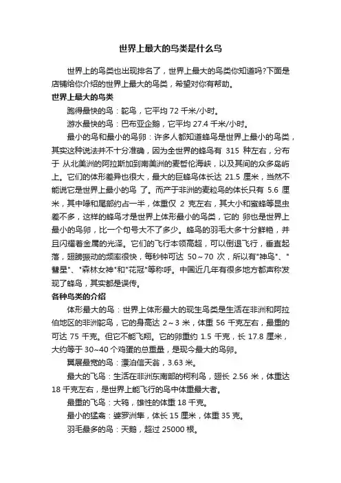 世界上最大的鸟类是什么鸟