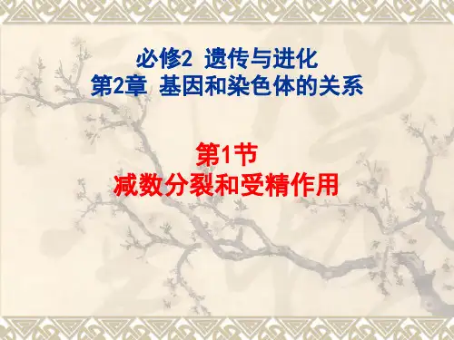 人教新课标高中生物必修二  2.1.2受精作用 一等奖优秀课件