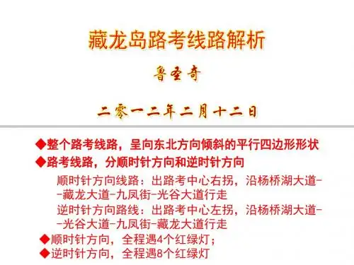 武汉藏龙岛路考精细解析-PPT文档资料