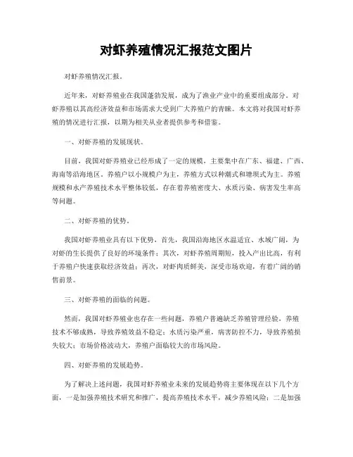 对虾养殖情况汇报范文图片