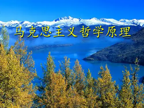 哲学导论 ppt课件