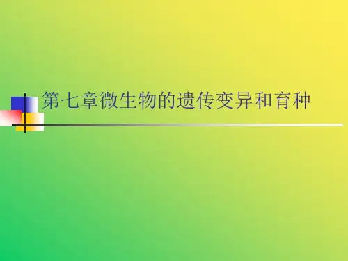 微生物的遗传变异和育种PPT课件