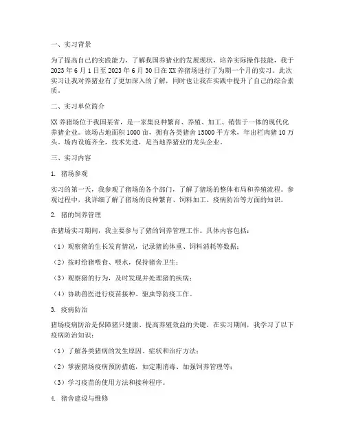 养猪场的实习报告