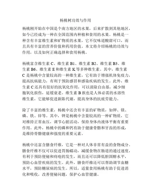 杨桃树功效与作用