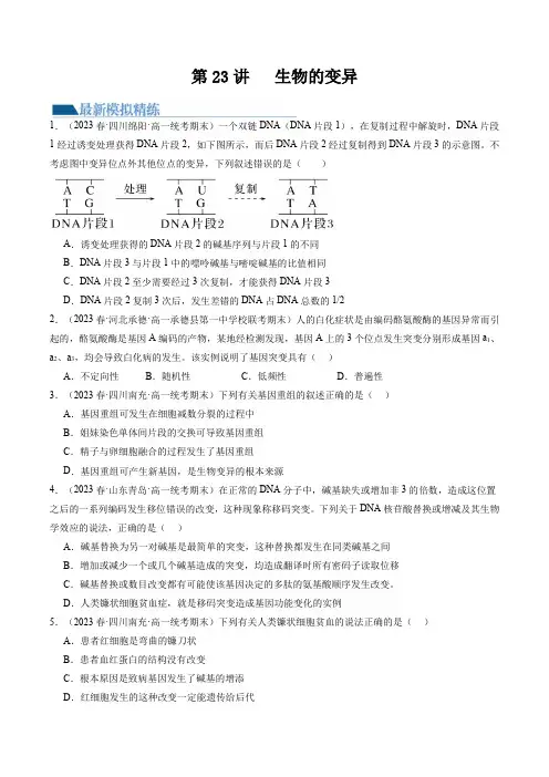 2024年高考生物一轮复习讲练测(新教材新高考)第23讲 生物的变异(练习)(原卷版+答案解析)