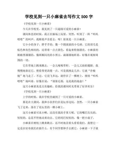学校见到一只小麻雀去写作文500字