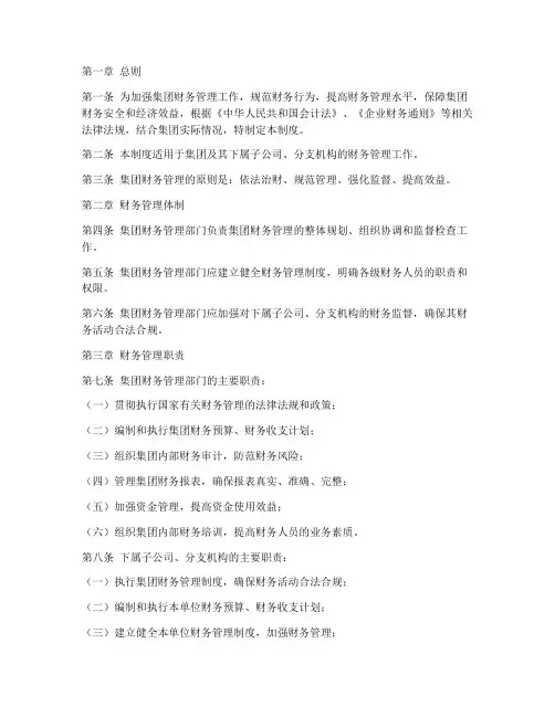集团财务管理制度模板