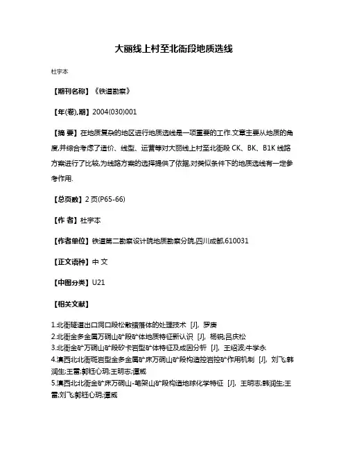 大丽线上村至北衙段地质选线