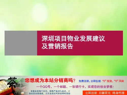 深圳某项目发展建议及营销报告(ppt 147页)