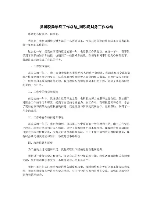 县国税局年终工作总结_国税局财务工作总结
