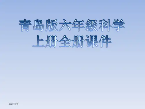 青岛版六年级科学上册全册课件