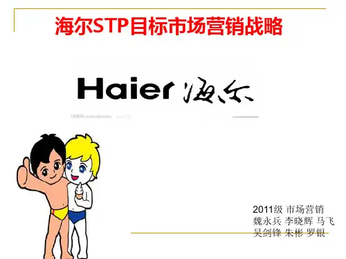 海尔STP分析