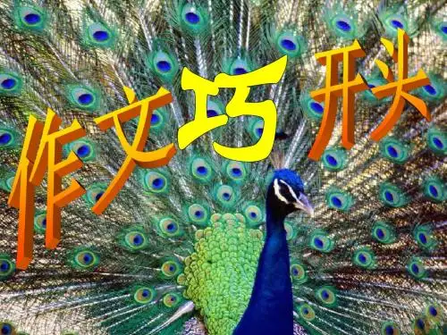 2011届中考语文作文开头训练指导复习优秀PPT教学课件