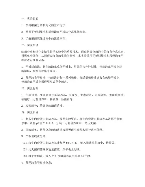 分离细菌的实验报告
