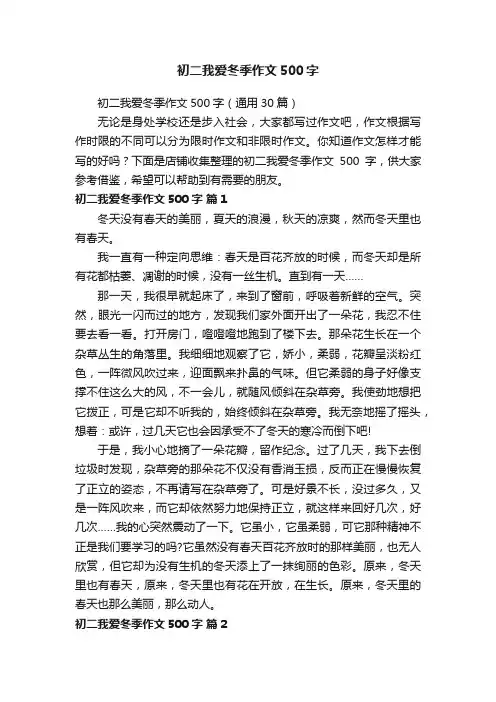 初二我爱冬季作文500字