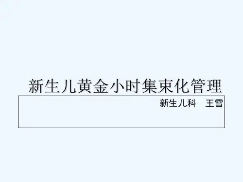 集束化管理 PPT