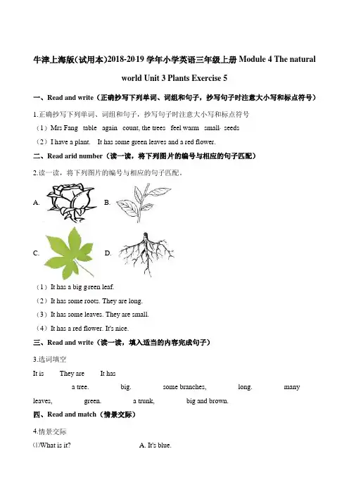 三年级上册英语一课一练-Module 4  Unit 3  Exercise 5    牛津上海版(一起)(含答案)
