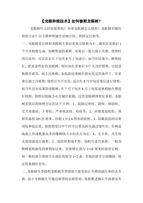 【龙眼种植技术】如何修剪龙眼树？