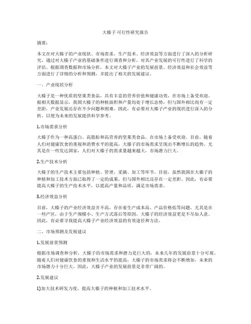大榛子 可行性研究报告