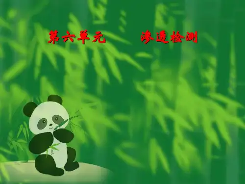 渗透探伤