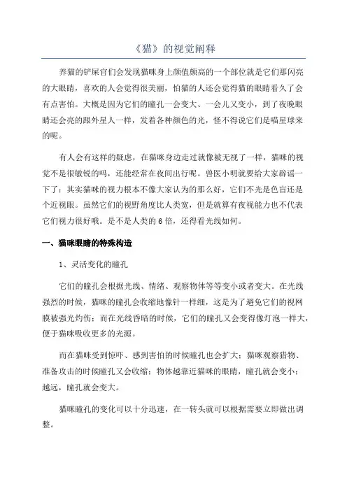 《猫》的视觉阐释