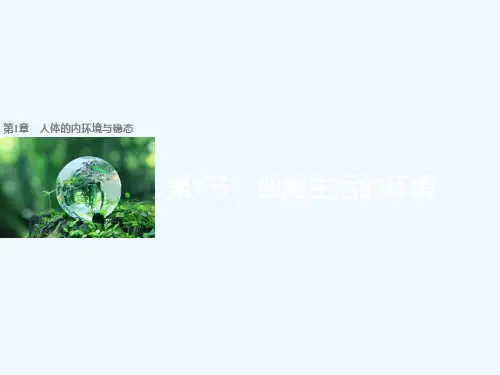 2017-2018学年高中生物 第1章 人体的内环境与稳态 第1节 细胞生活的环境 新人教版必修3