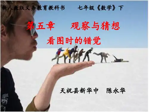 人教版七年级下册数学《观察与猜想看图时的错觉2》课件
