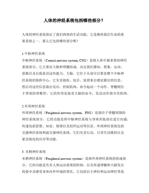 人体的神经系统包括哪些部分？