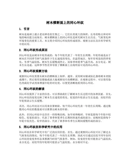 树木横断面上的同心环纹