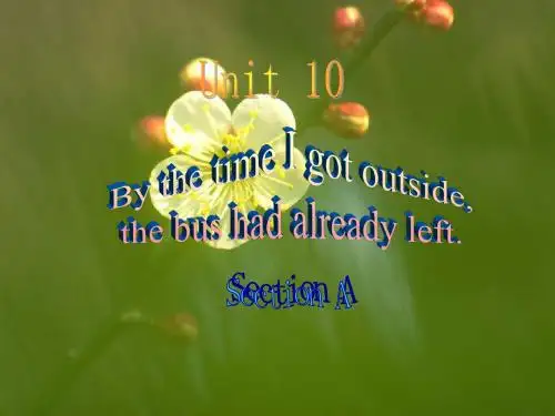 人教版(新目标)初中九年级Unit_10_By_the_time_I_got_outside_the_bus_had_already_left_ppt课件5