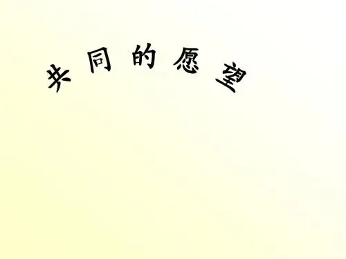 8 共同的愿望(第2课时)课件 (教科版八年级政治下册)