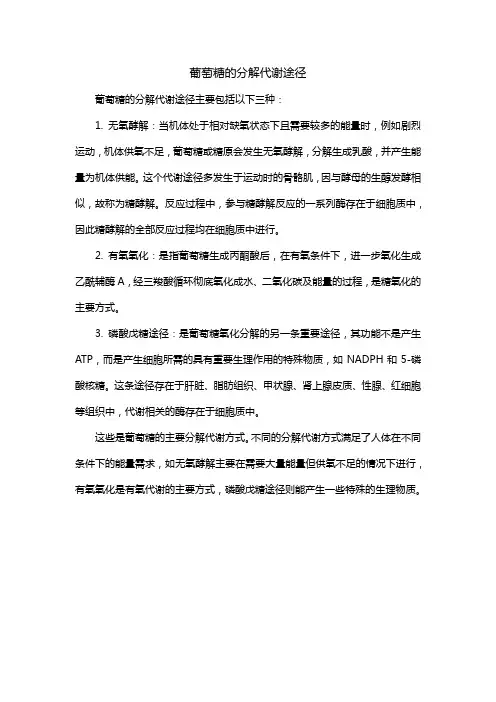 葡萄糖的分解代谢途径