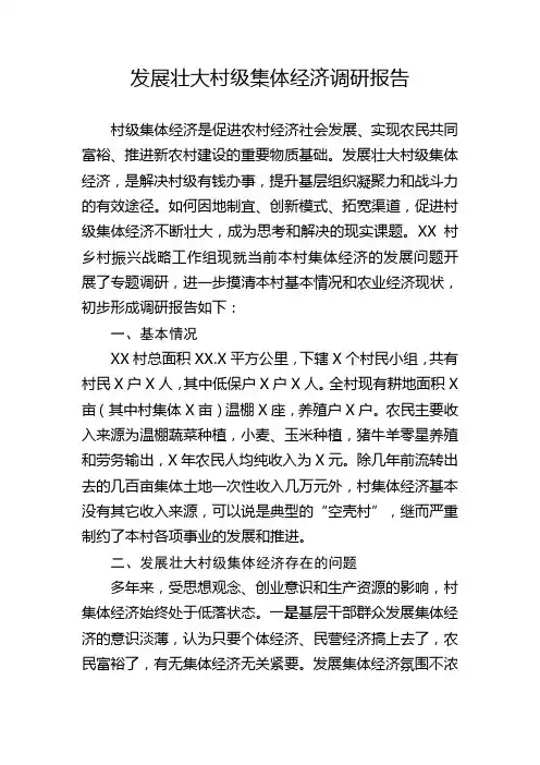 发展壮大村级集体经济调研报告